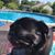 Janet Stephens's profile image