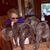 Carolyn Taylor's profile image