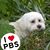 Bee Bernard's profile image
