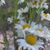 Bonnie LaFountaine's profile image