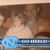 Linda Ogle's profile image