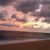Renee LaMarca's profile image