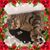 Heather Swisher's profile image