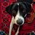 Jaime Wiesler Wasser's profile image