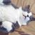 Jesse Fitzhugh's profile image