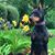 Dara Covert's profile image
