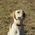 Joe Ramallo's profile image