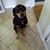 Amy Thibeault's profile image
