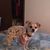 Pamela Wahl Sander's profile image