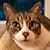 Sharon A See's profile image