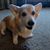 Heidi Greger's profile image