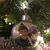 Cristina Maria Asandului's profile image