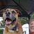 Susan McGarry VanEykeren's profile image