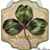 Teresa Doss's profile image