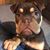 Brandy Griffith's profile image