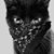 Roy Dent's profile image