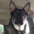 Jeff Bache's profile image