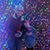 Shannon Ruark's profile image