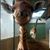 Wendy Therault's profile image
