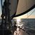 Marcie N Jim Trantham's profile image
