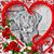 Rhonda Ryan's profile image
