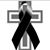 Carlos Cañedo Walle's profile image