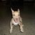 Sonia Esther Santiago's profile image
