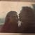 Patricia A. Mestas-Buckley's profile image