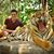 Kyle Steidle's profile image