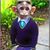 Antonio Veelasquez's profile image