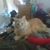 Beverly Varney's profile image