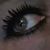 Anne Hamblin-Wolfe's profile image