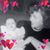Melanie Jones Brown's profile image