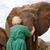 Debra Wilde's profile image