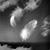 Paula Costa's profile image