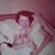Sue White's profile image
