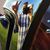 Douglas Croxford's profile image