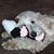 Bobi Sue's profile image