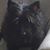 Karen Hertenstein's profile image