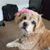 Corrine Approbato's profile image