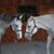Erin Giza's profile image