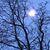 Nancy Strobel's profile image