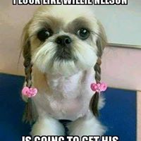 Peggy Pattison's profile image