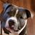 Mike McPherson's profile image