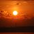 Linda Brammer's profile image