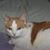 Bonnie Bayless's profile image