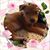 Alicia Corine Rodriguez's profile image