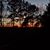 Lisa Larsen Brissenden's profile image