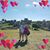 Bridget Soucy's profile image