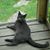 Janet Schroeder's profile image